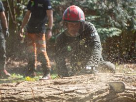 Chainsaw operator cutting large log with safety visor and PPE | TreesUK