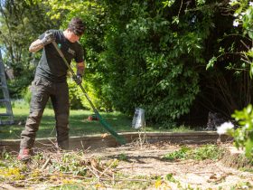 Team member raking green waste in garden after pruning | TreesUK