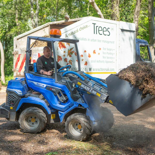 TreesUK